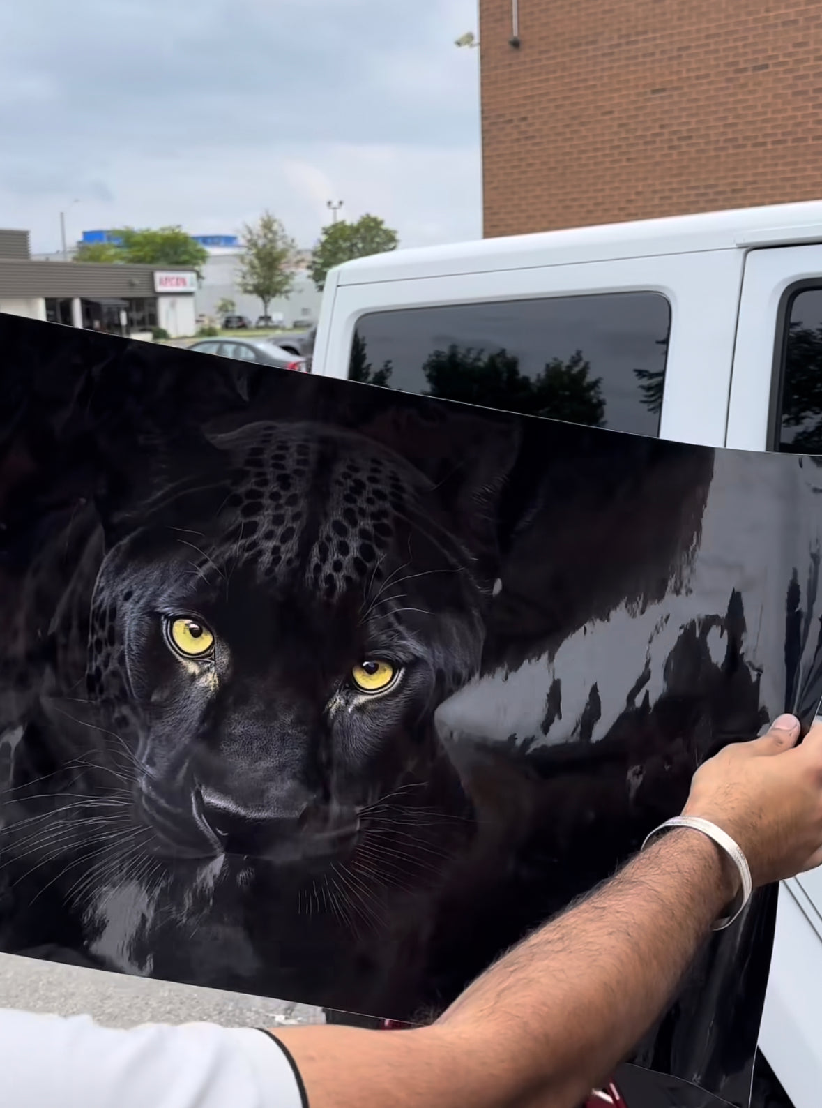 BLACK PANTHER STICKER FOR JEEP